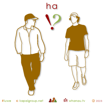 02742 ha - hey 01