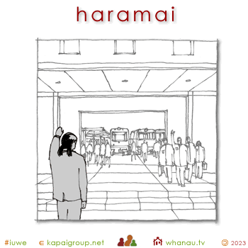 03323 haramai - welcome 01
