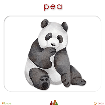 w00225_01 pea - bear