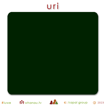 02781 uri - dark 01