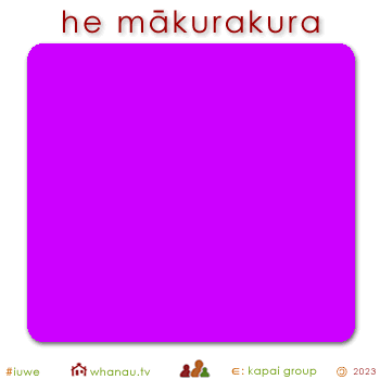 01593 mākurakura - magenta 01
