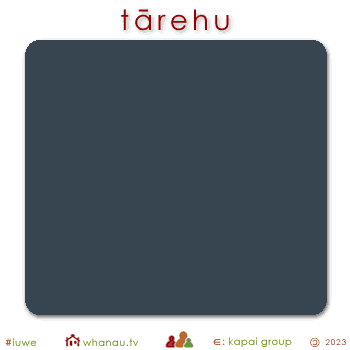 02794 tārehu - charcoal 01