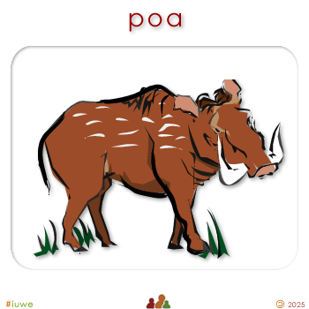w01705_01 poa - boar