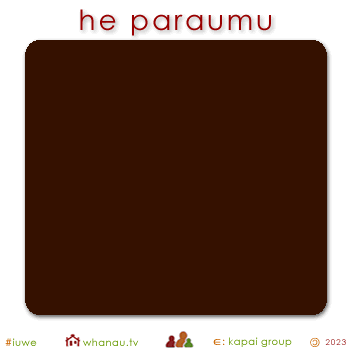 01570 paraumu - brown 01