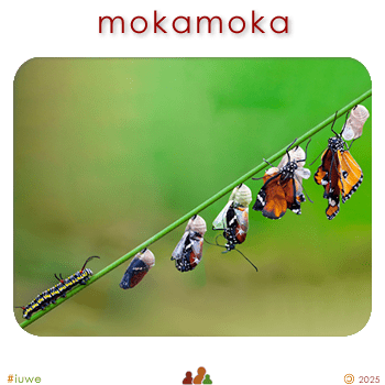 w00413_01 mokamoka - caterpillar