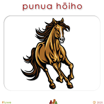 w00504_01 punua hōiho - foal