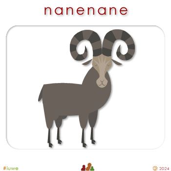 w00423_01 nanenane - goat