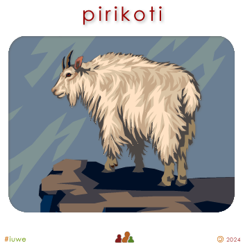 w00482_02 pirikoti - billy goat