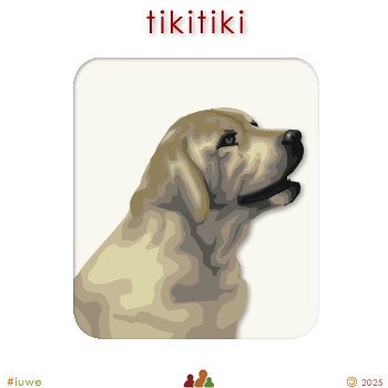 w00551_01 tikitiki - retriever