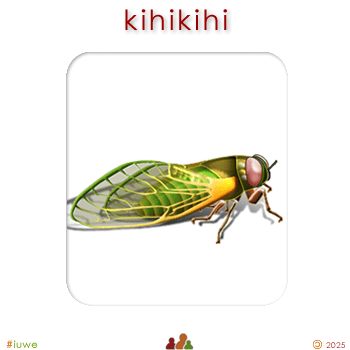 w03239_01 kihikihi - cicada