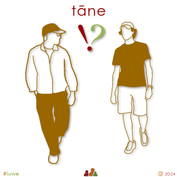 w00230_01 tāne - men