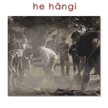 w02646_01 hāngi - hāngi