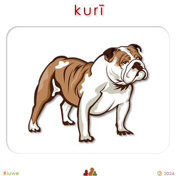 w00159_03 kurī - dog