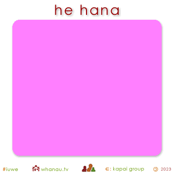 01601 hana - pink 01