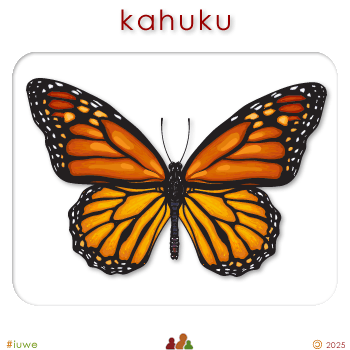 w00339_01 kahuku - monarch butterfly