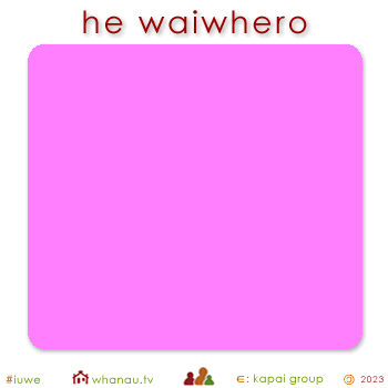 01603 waiwhero - pink pale 01