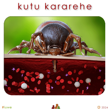 w08315_01 kutu kararehe - tick