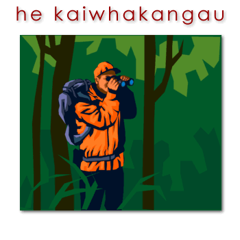 w01166_01 kaiwhakangau - hunter