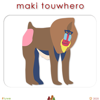 w00393_01 maki touwhero - baboon