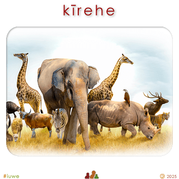 w09122_01 kīrehe - animal