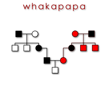 03893 whakapapa - ancestry 01