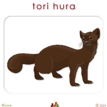 w08372_02 tori hura - ferret