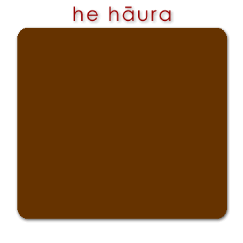 w01572_01 hāura - brown chocolate