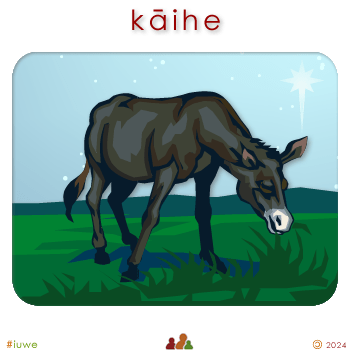 w02257_01 kāihe - donkey