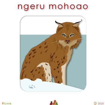 w02147_01 ngeru mohoao - wild cat