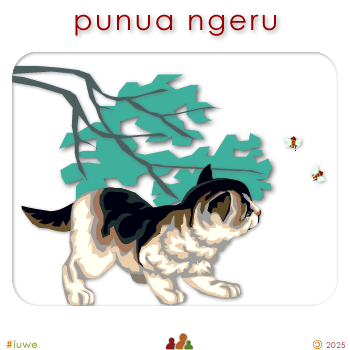 w01668_01 punua ngeru - kitten