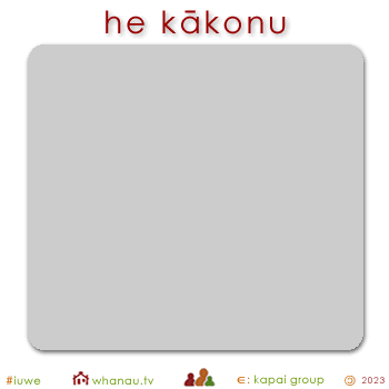 01609 kākonu - gray silver 01