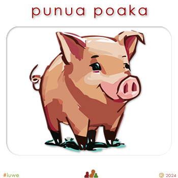 w08354_01 punua poaka - piglet