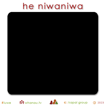 01792 niwaniwa - black deep 01