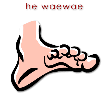 00204 waewae - foot 01