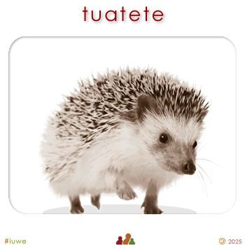 w01708_01 tuatete - hedgehog