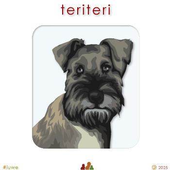w00546_01 teriteri - terrier