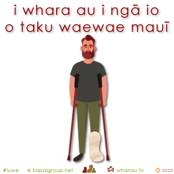 20532 i whara au i ngā io o taku waewae mauī - I injured the nerves in my left leg 01