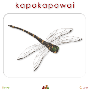 w00355_01 kapokapowai - dragonfly
