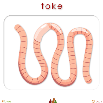 w04348_01 toke - worm