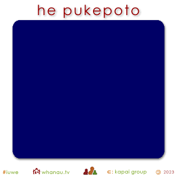01576 pukepoto - blue navy 01
