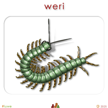w03246_01 weri - centipede