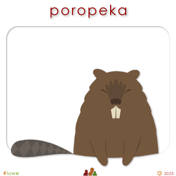 w00489_01 poropeka - beaver