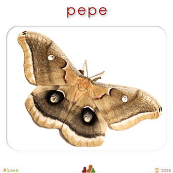 w00464_01 pepe - moth