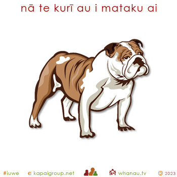 20367 nā te kurī au i mataku ai - the dog frightened me 01