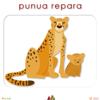 w01690_01 punua repara - leopard cub