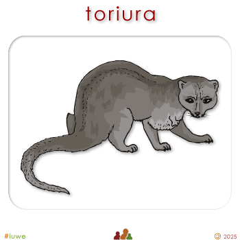w00557_01 toriura - stoat