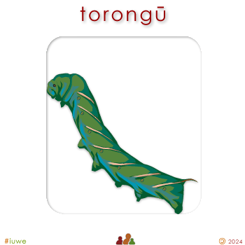 w04355_02 torongū - larva