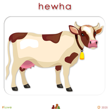 w02266_01 hewha - heifer