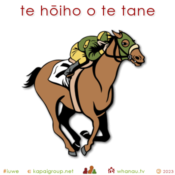 20247 te hōiho o te tane - the horse of the man 01