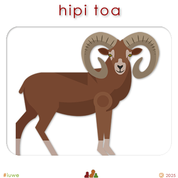 w00330_01 hipi toa - ram